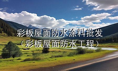 彩板屋面防水涂料批發(fā)（彩板屋面防水工程）