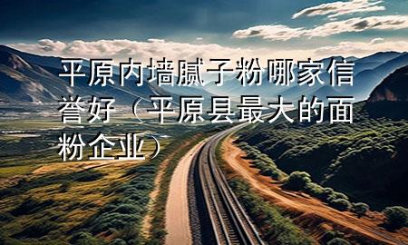 平原內(nèi)墻膩?zhàn)臃勰募倚抛u(yù)好（平原縣最大的面粉企業(yè)）