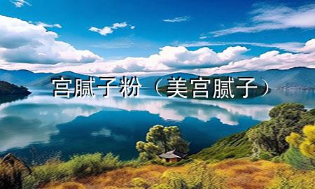 宮 膩子粉（美宮膩子）