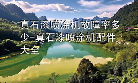 真石漆噴涂機故障率多少-真石漆噴涂機配件大全
