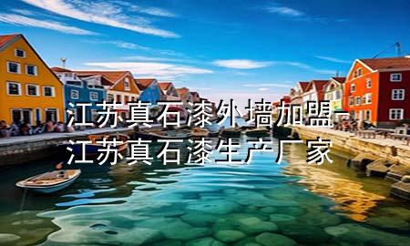 江蘇真石漆外墻加盟-江蘇真石漆生產(chǎn)廠家