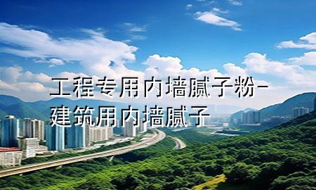 工程專用內(nèi)墻膩子粉-建筑用內(nèi)墻膩子