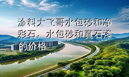 涂料大飛哥水包砂和凈彩石，水包砂和真石漆的價格