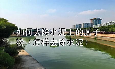 如何去除水泥上的膩?zhàn)臃郏ㄔ鯓尤コ啵?>
             </div>
             <!--文章無(wú)圖的情況下插入一張圖片end-->
              
      <p>大家好，今天小編關(guān)注到一個(gè)比較有意思的話題，就是關(guān)于如何去除水泥上的膩?zhàn)臃鄣膯?wèn)題，于是小編就整理了1個(gè)相關(guān)介紹如何去除水泥上的膩?zhàn)臃鄣慕獯?，讓我們一起看看吧?/p><ol type=