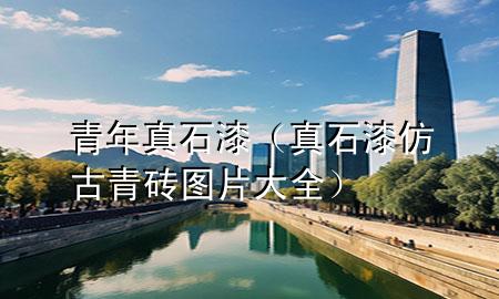 青年真石漆（真石漆仿古青磚圖片大全）