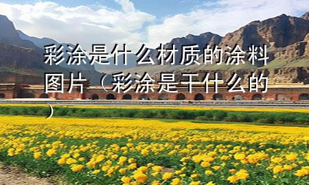 彩涂是什么材質(zhì)的涂料圖片（彩涂是干什么的）