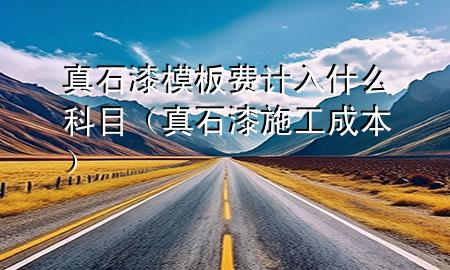 真石漆模板費計入什么科目（真石漆施工成本）