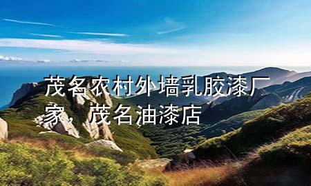 茂名農(nóng)村外墻乳膠漆廠家，茂名油漆店