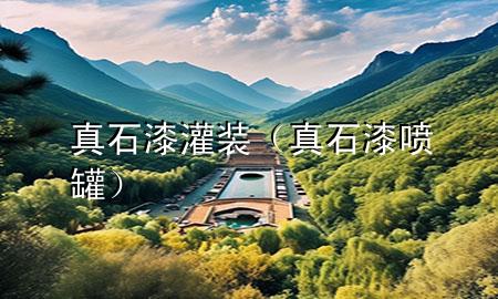 真石漆灌裝（真石漆噴罐）