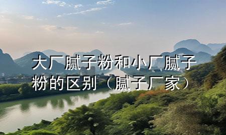 大廠(chǎng)膩?zhàn)臃酆托S(chǎng)膩?zhàn)臃鄣膮^(qū)別（膩?zhàn)訌S(chǎng)家）