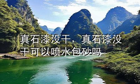 真石漆沒干，真石漆沒干可以噴水包砂嗎