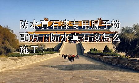 防水真石漆專用膩子粉配方（防水真石漆怎么施工）