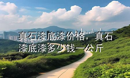 真石漆底漆價格，真石漆底漆多少錢一公斤