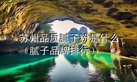 蘇州品質膩子粉是什么（膩子品牌排行）