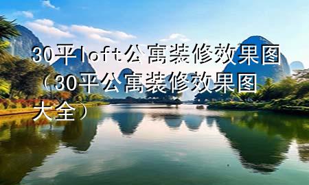30平loft公寓裝修效果圖（30平公寓裝修效果圖大全）