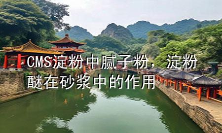 CMS淀粉中膩?zhàn)臃郏矸勖言谏皾{中的作用
