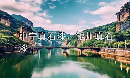 中寧真石漆，銀川真石漆