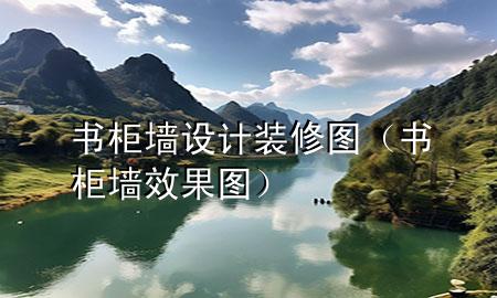 書柜墻設計裝修圖（書柜墻效果圖）