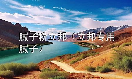 膩子粉 立邦（立邦專用膩子）