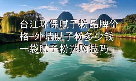 臺江環(huán)保膩子粉品牌價格-外墻膩子粉多少錢一袋 膩子粉選購技巧