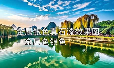 金屬銀色真石漆效果圖，金屬色銀色