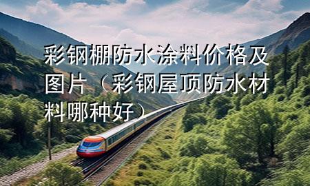 彩鋼棚防水涂料價格及圖片（彩鋼屋頂防水材料哪種好）