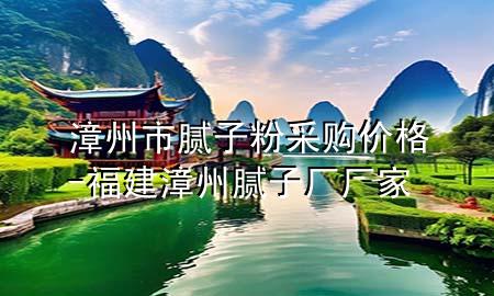 漳州市膩子粉采購價格-福建漳州膩子廠廠家