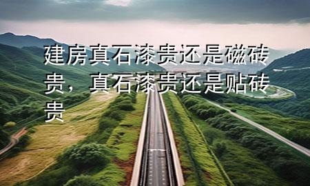 建房真石漆貴還是磁磚貴，真石漆貴還是貼磚貴