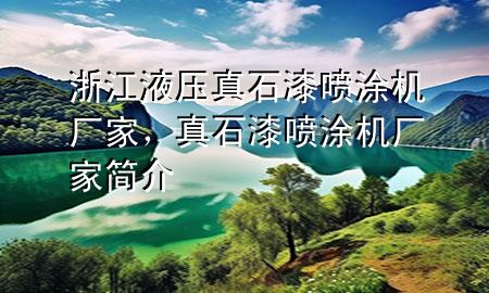 浙江液壓真石漆噴涂機(jī)廠家，真石漆噴涂機(jī)廠家簡介