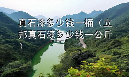 真石漆多少錢一桶（立邦真石漆多少錢一公斤）