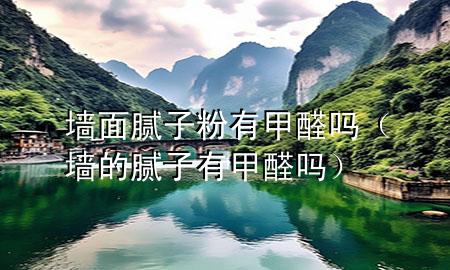 墻面膩子粉有甲醛嗎（墻的膩子有甲醛嗎）