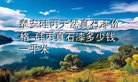 泰安硅丙天然真石漆價格-硅丙真石漆多少錢一平米