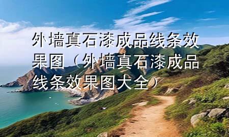 外墻真石漆成品線條效果圖（外墻真石漆成品線條效果圖大全）