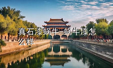 真石漆蝸牛-蝸牛漆怎么樣