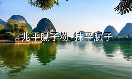 兆平膩子粉-抹平膩子