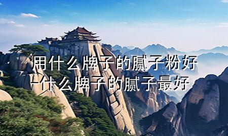 用什么牌子的膩子粉好-什么牌子的膩子最好