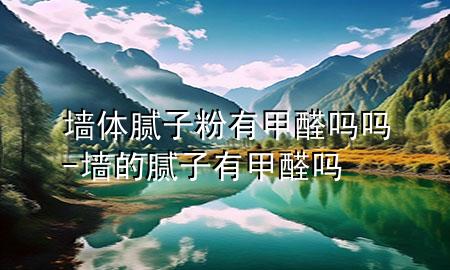 墻體膩子粉有甲醛嗎嗎-墻的膩子有甲醛嗎