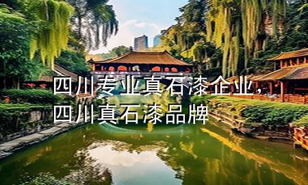 四川專(zhuān)業(yè)真石漆企業(yè)，四川真石漆品牌