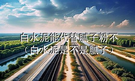 白水泥能代替膩子粉不（白水泥是不是膩子）