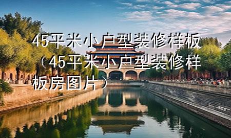 45平米小戶型裝修樣板（45平米小戶型裝修樣板房圖片）