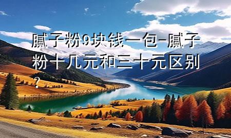 膩子粉9塊錢一包-膩子粉十幾元和三十元區(qū)別？