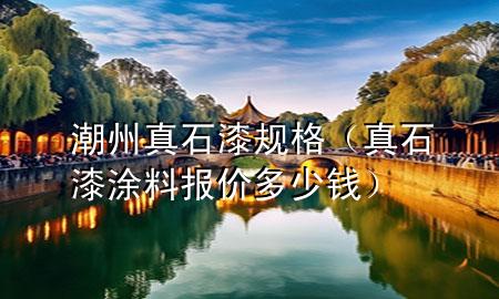 潮州真石漆規(guī)格（真石漆涂料報價多少錢）