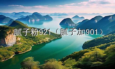 膩子粉921（膩子加901）