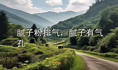 膩子粉排氣，膩子有氣孔