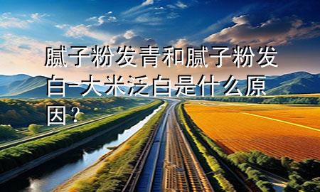 膩?zhàn)臃郯l(fā)青和膩?zhàn)臃郯l(fā)白-大米泛白是什么原因？
