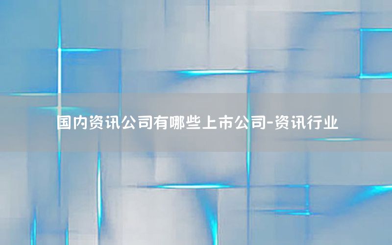 國內(nèi)資訊公司有哪些上市公司-資訊行業(yè)