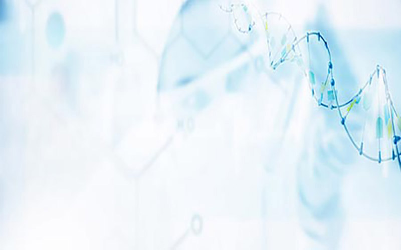 無(wú)線財(cái)經(jīng)資訊臺(tái)賽馬（無(wú)線財(cái)經(jīng)節(jié)目表）